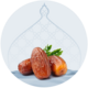 Dates